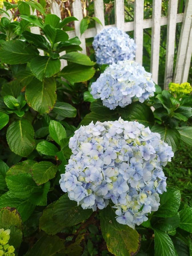 Recanto Das Flores São Tomé das Letras Екстериор снимка