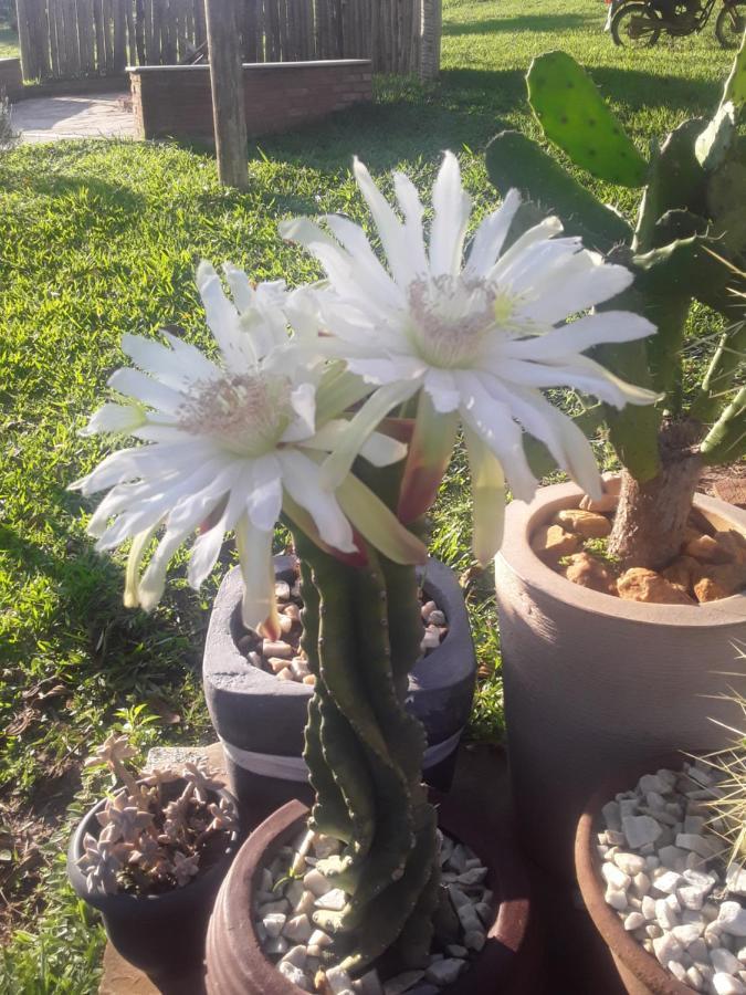 Recanto Das Flores São Tomé das Letras Екстериор снимка