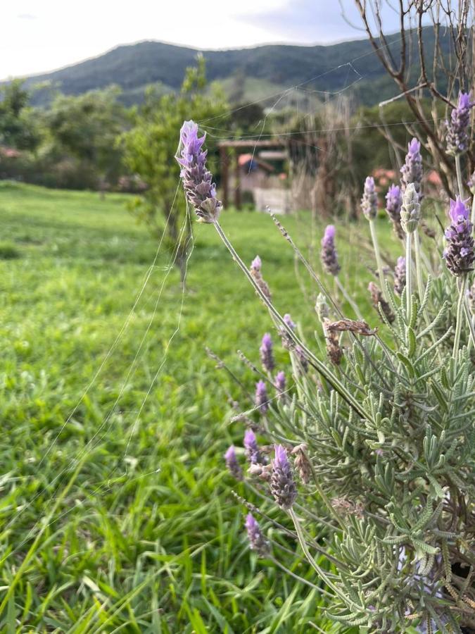 Recanto Das Flores São Tomé das Letras Екстериор снимка